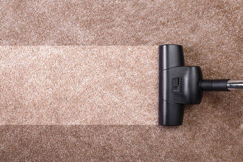 Vacuum Cleans Carpet — Pest Control & Carpet Cleaning Services in Hervey Bay, QLD
