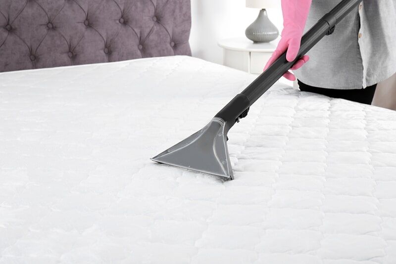 Disinfecting Mattress with Vacuum Ceaner — Pest Control & Carpet Cleaning Services in Boonooroo, QLD