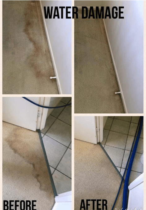 Pest Control Worker Spraying Chemicals — Pest Control & Carpet Cleaning Services in Boonooroo, QLD