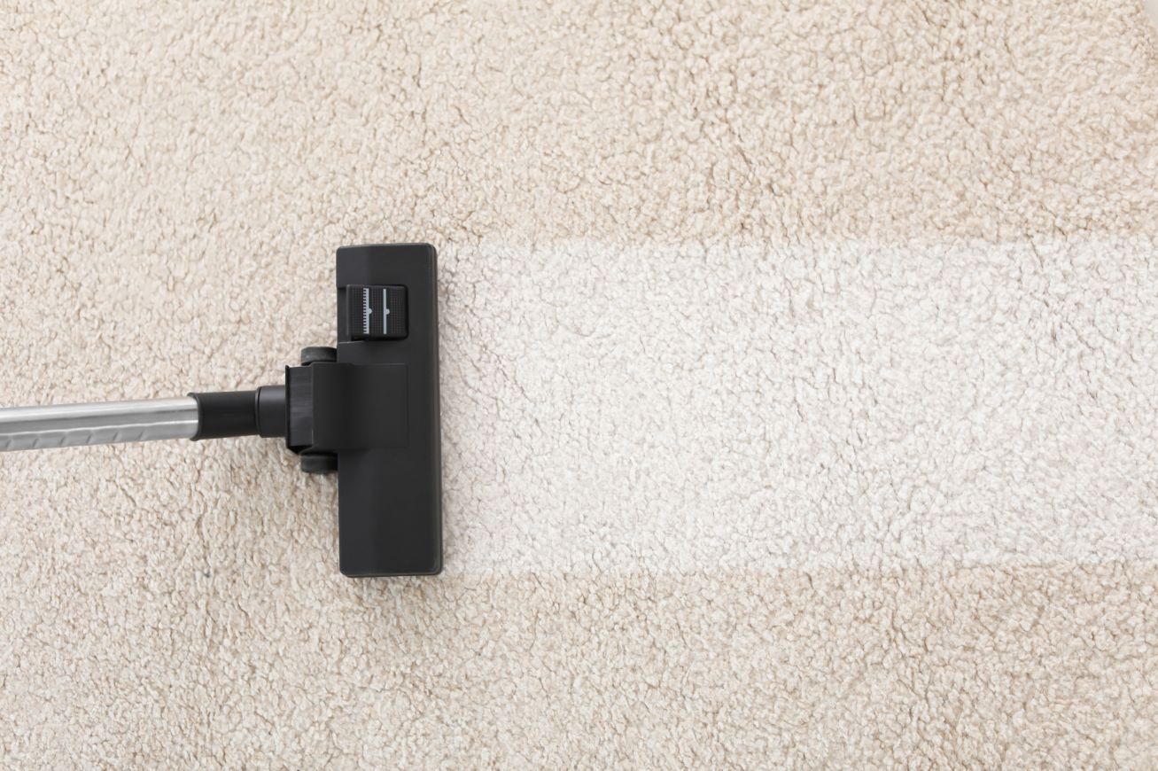 Vacuum Cleans Carpet  — Pest Control & Carpet Cleaning Services in Boonooroo, QLD