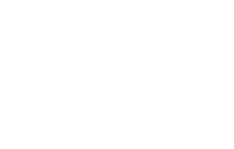 The Winchester logo