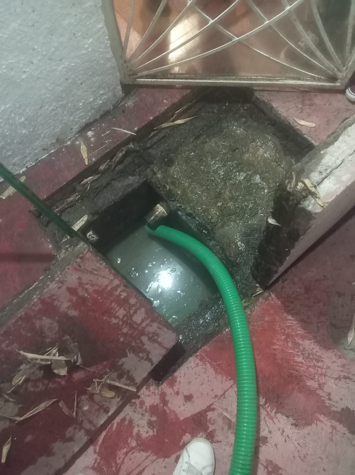 Manguera verde en un desagüe exterior abierto, llena de agua. Marco de ladrillo rojo y hormigón.