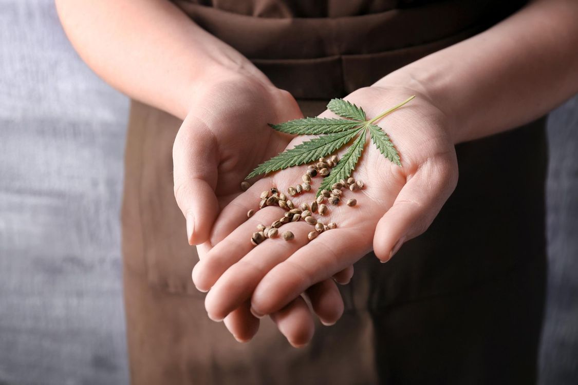 A person is holding a leaf and seeds in their hands.