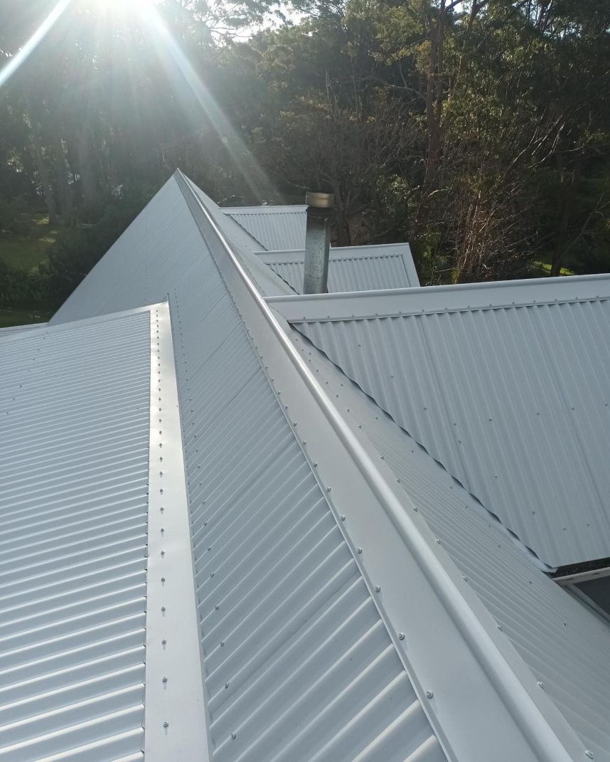 The Sun is Shining Through the Trees on the Roof of a House — Northern Rivers Metal Roofing PTY LTD In Tweed Heads , NSW
