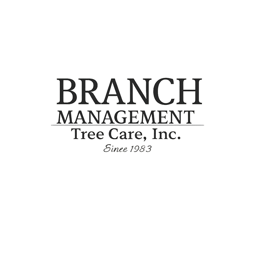 Branch Management Tree Care, Inc. logo with text on white background: 