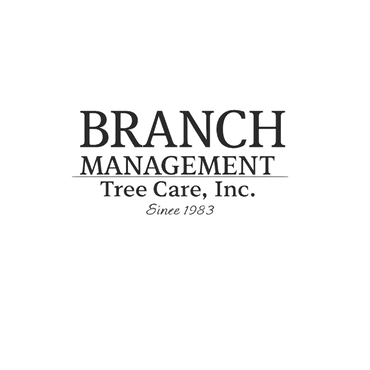 Branch Management Tree Care, Inc. logo with text: 