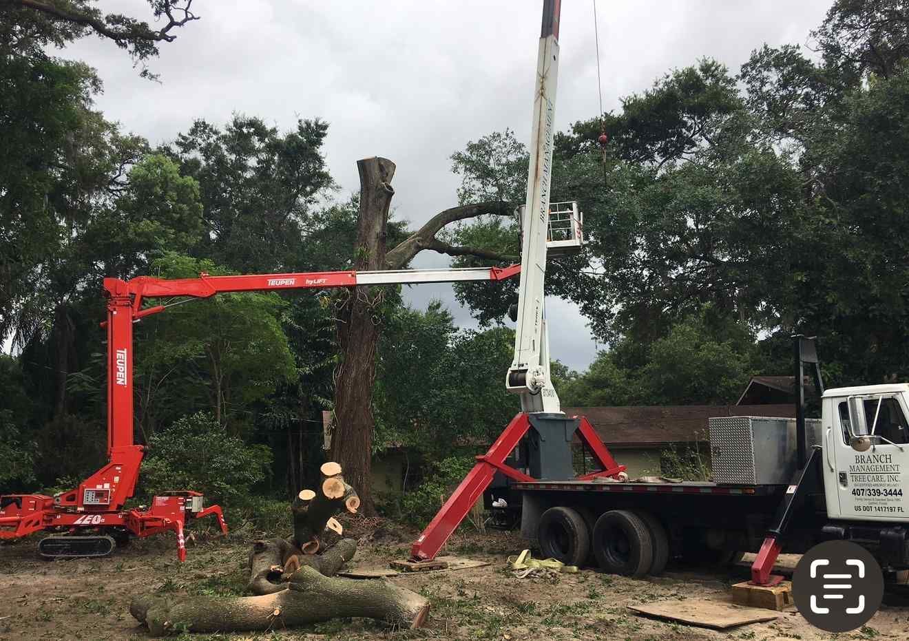 Tree removal with a red crane and white truck.