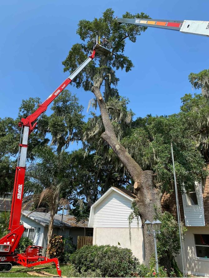 Red tree trimming truck cutting branches from a tall tree in a residential area.