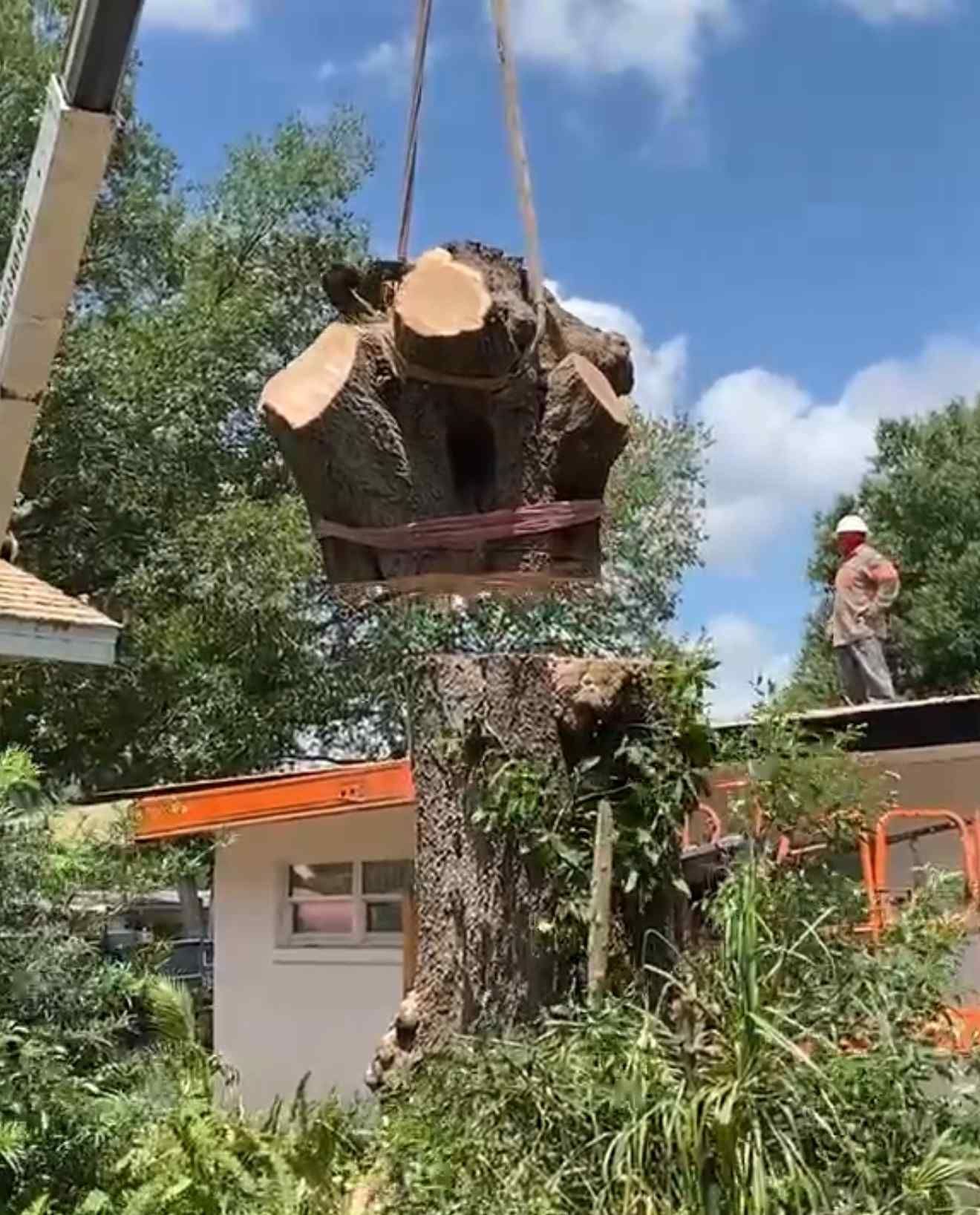 A large tree stump being lifted by a crane near a building, worker on a lift observing.