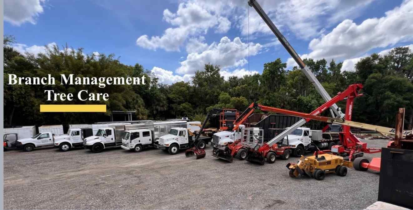 Fleet of white trucks and red tree trimming equipment parked outdoors. Text reads: Branch Management Tree Care.
