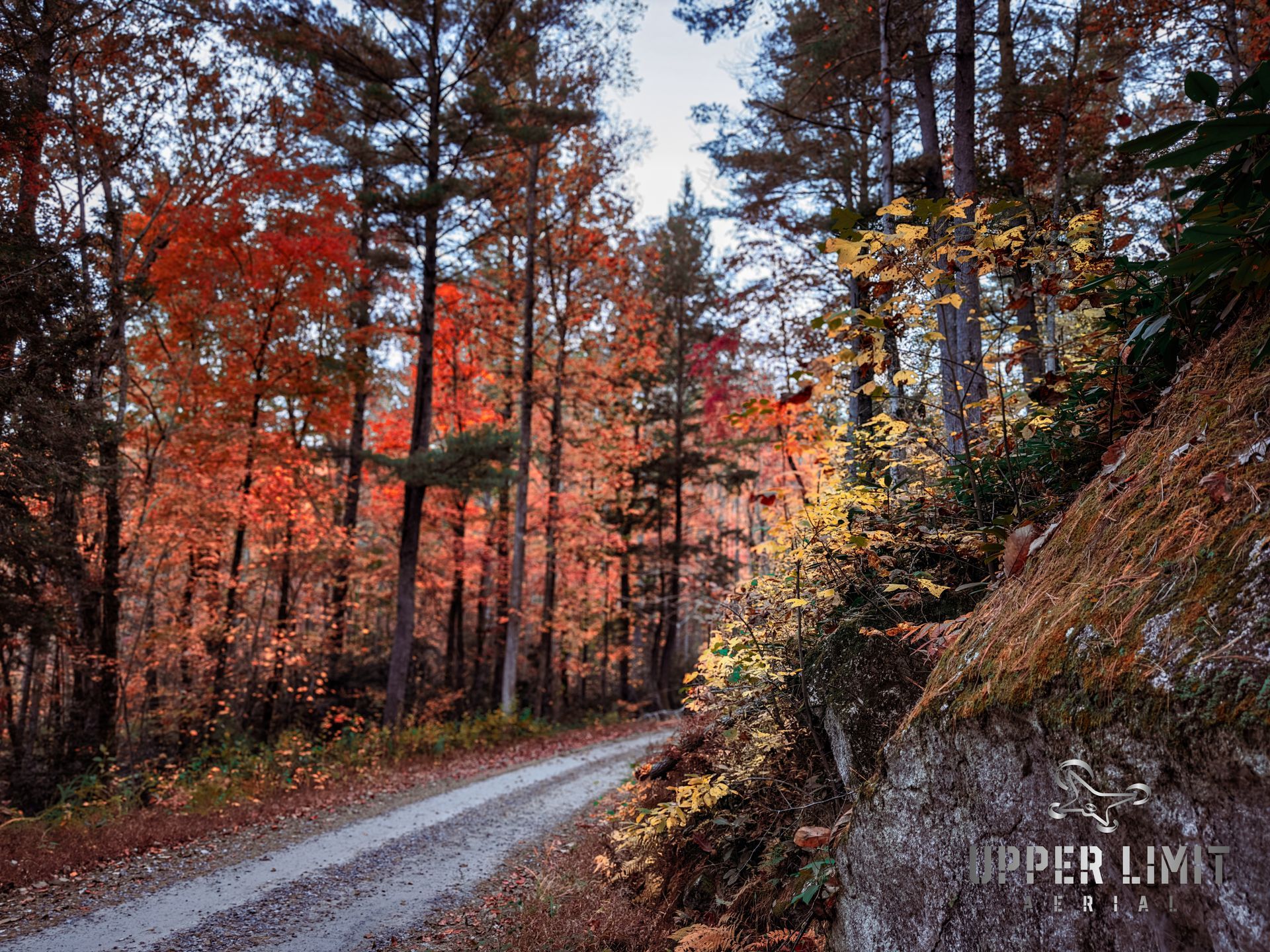 Gravel road winds through a forest of colorful autumn trees: reds, oranges, and yellows.