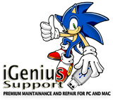 iGenius Support