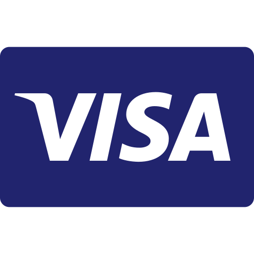 Visa credit card logo: White 