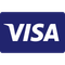 Visa credit card logo: White 