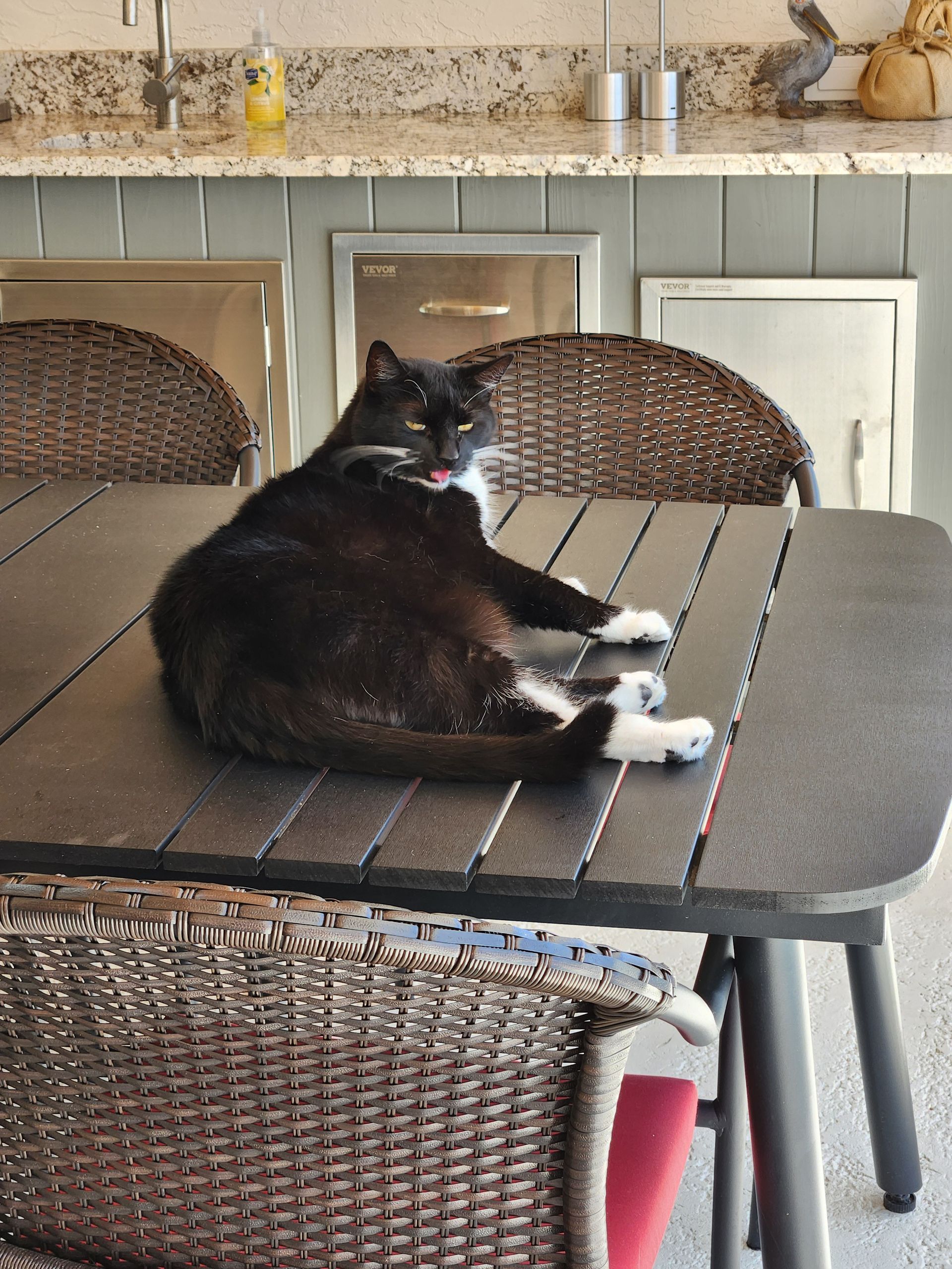 A fluffy Maine Coon cat with brown tabby markings and black tufted ears rests on the floor next to a white plastic basket.