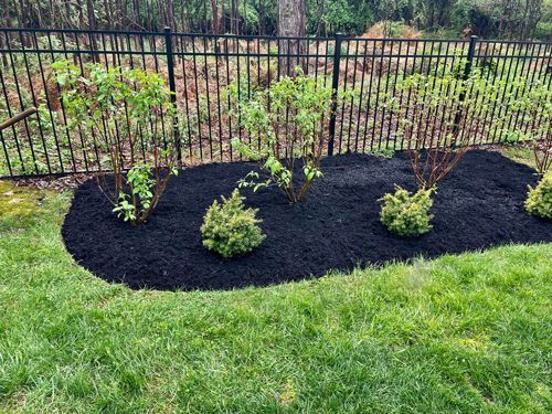 A Lush Green Lawn With A Black Fence In The Background - Perry Hall, MD - Oakwood Landscaping LLC
