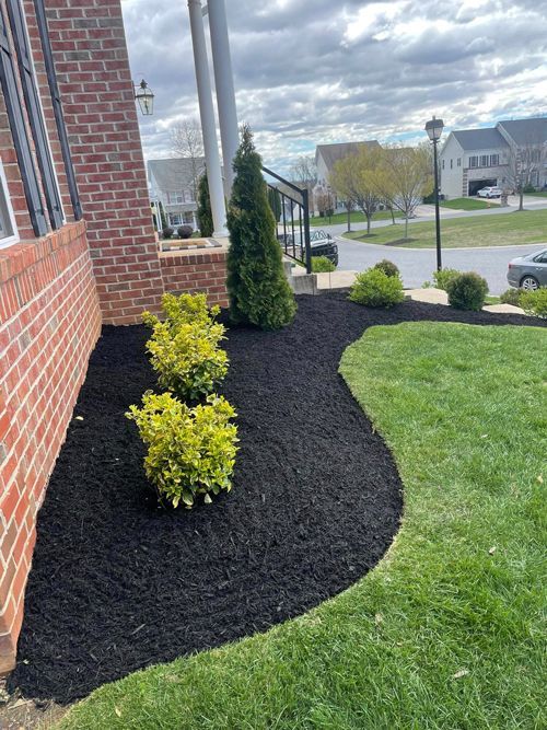 A Brick House With A Lush Green Lawn And Black Mulch In Front Of It - Perry Hall, MD - Oakwood Landscaping LLC