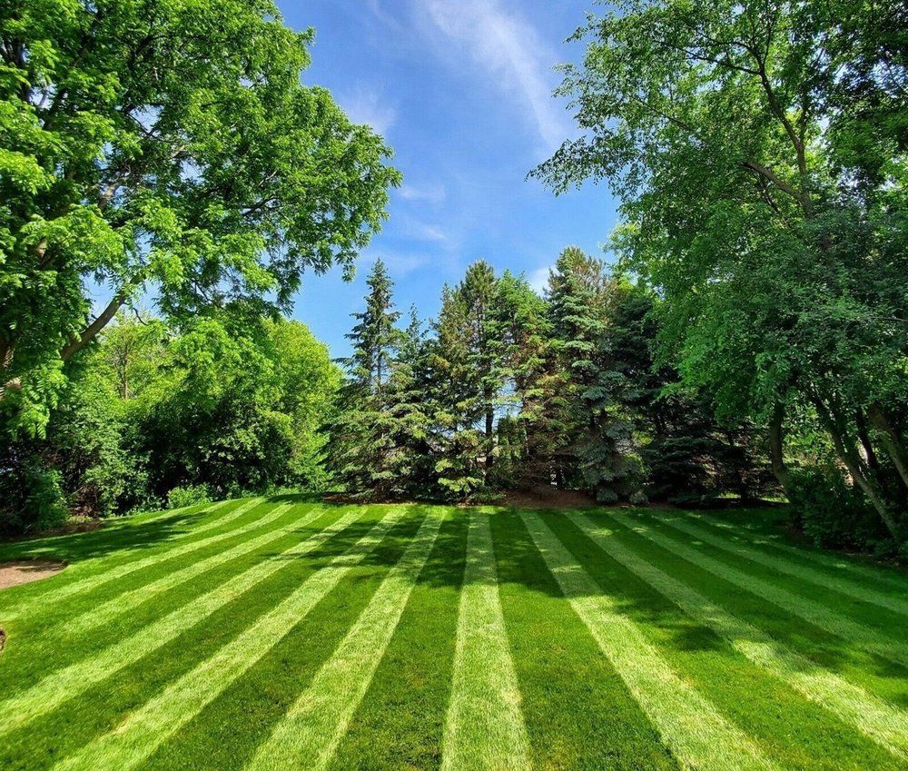 A Lush Green Lawn With Striped Grass And Trees In The Background - Perry Hall, MD - Oakwood Landscaping LLC