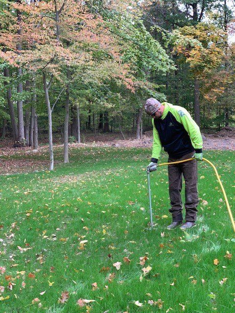 Tree Treatments — Maintaining the Health of the Tree in Brownsburg, IN