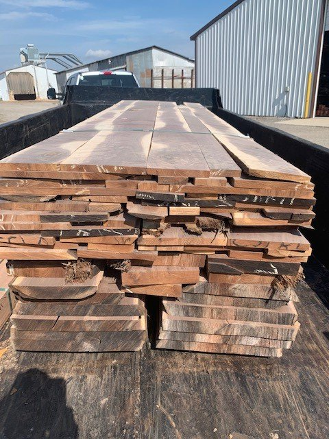 Removal — Removing the Tree's in Brownsburg, IN