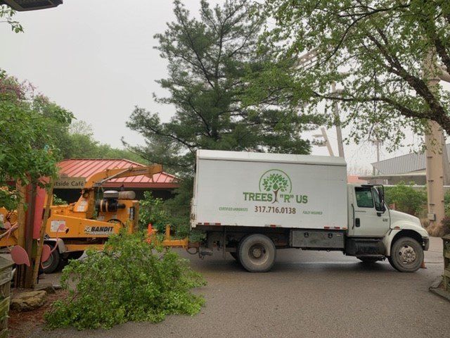 Commercial Tree — Maintaining the Commercial Tree's in Brownsburg, IN