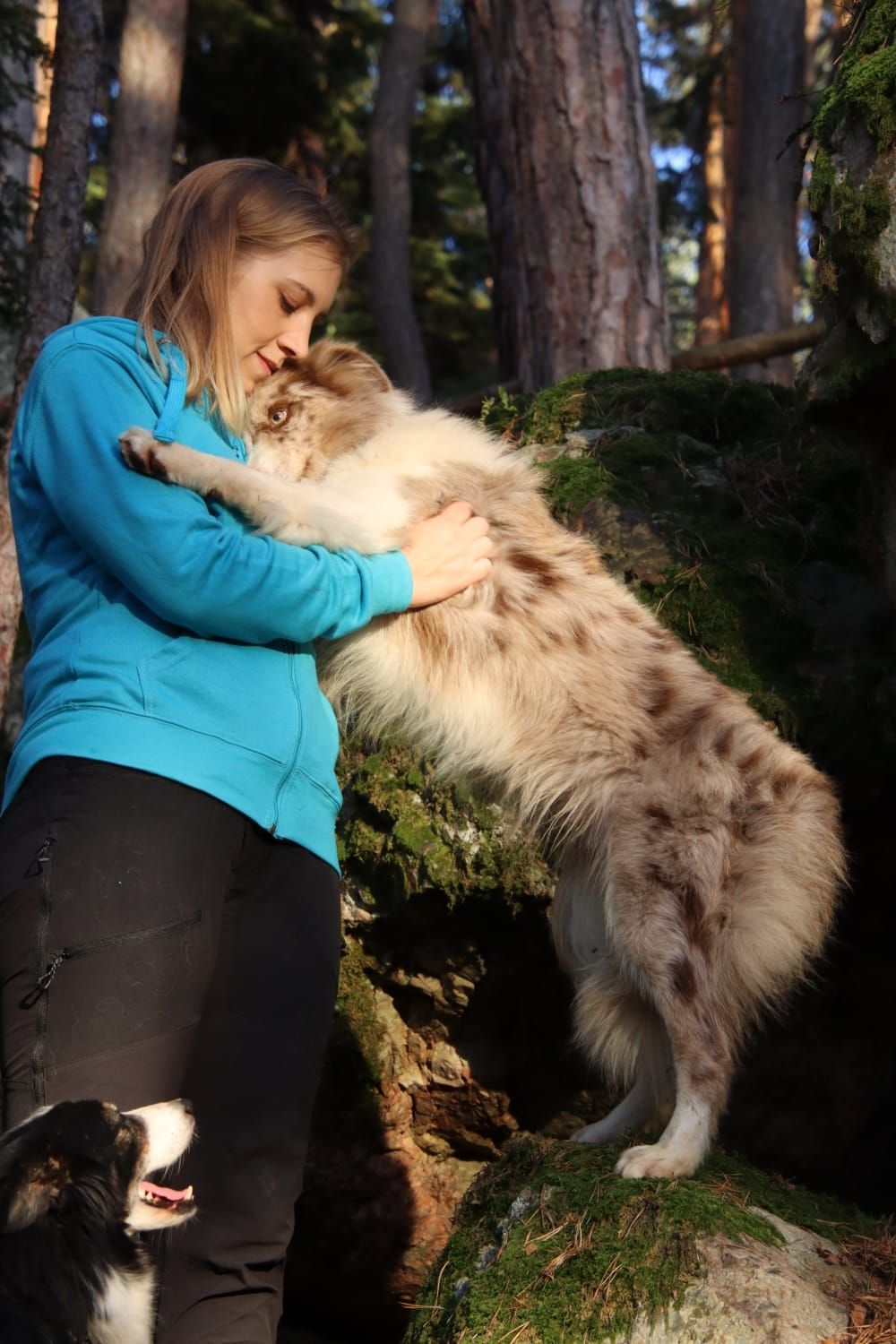 Bordercollie Crazy Sun Black Zucht