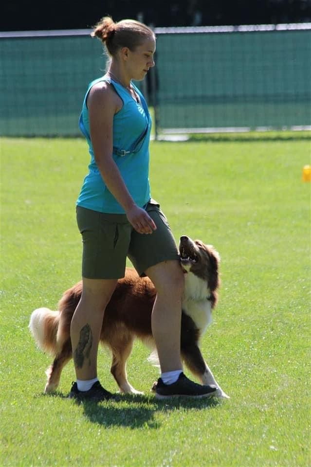 Bordercollie Crazy Sun Black Zucht