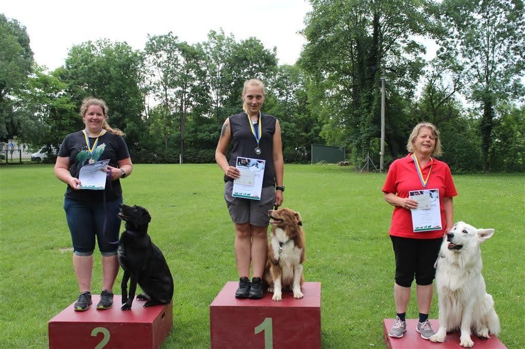 Bordercollie Crazy Sun Black Zucht