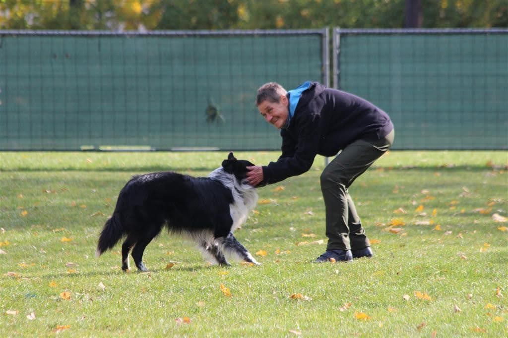 Bordercollie Crazy Sun Black Zucht
