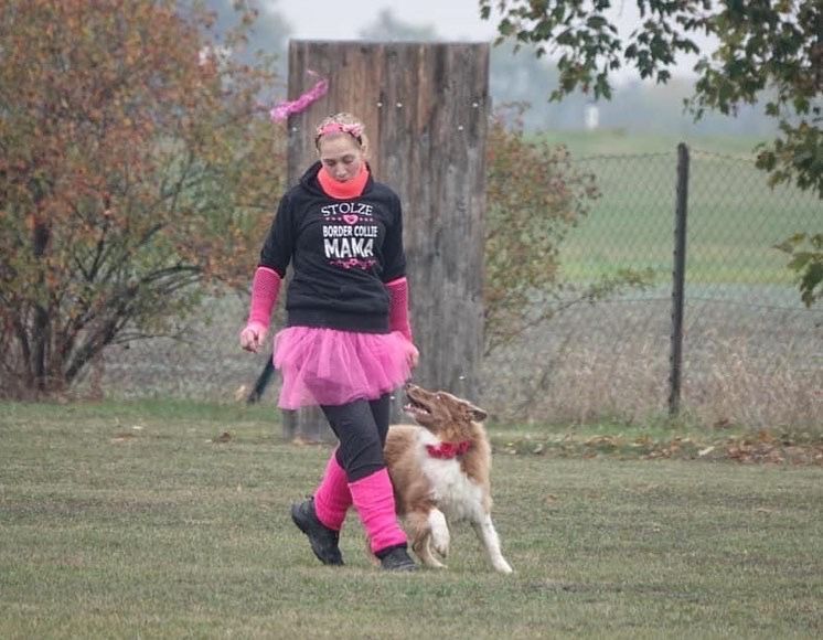 Bordercollie Crazy Sun Black Zucht