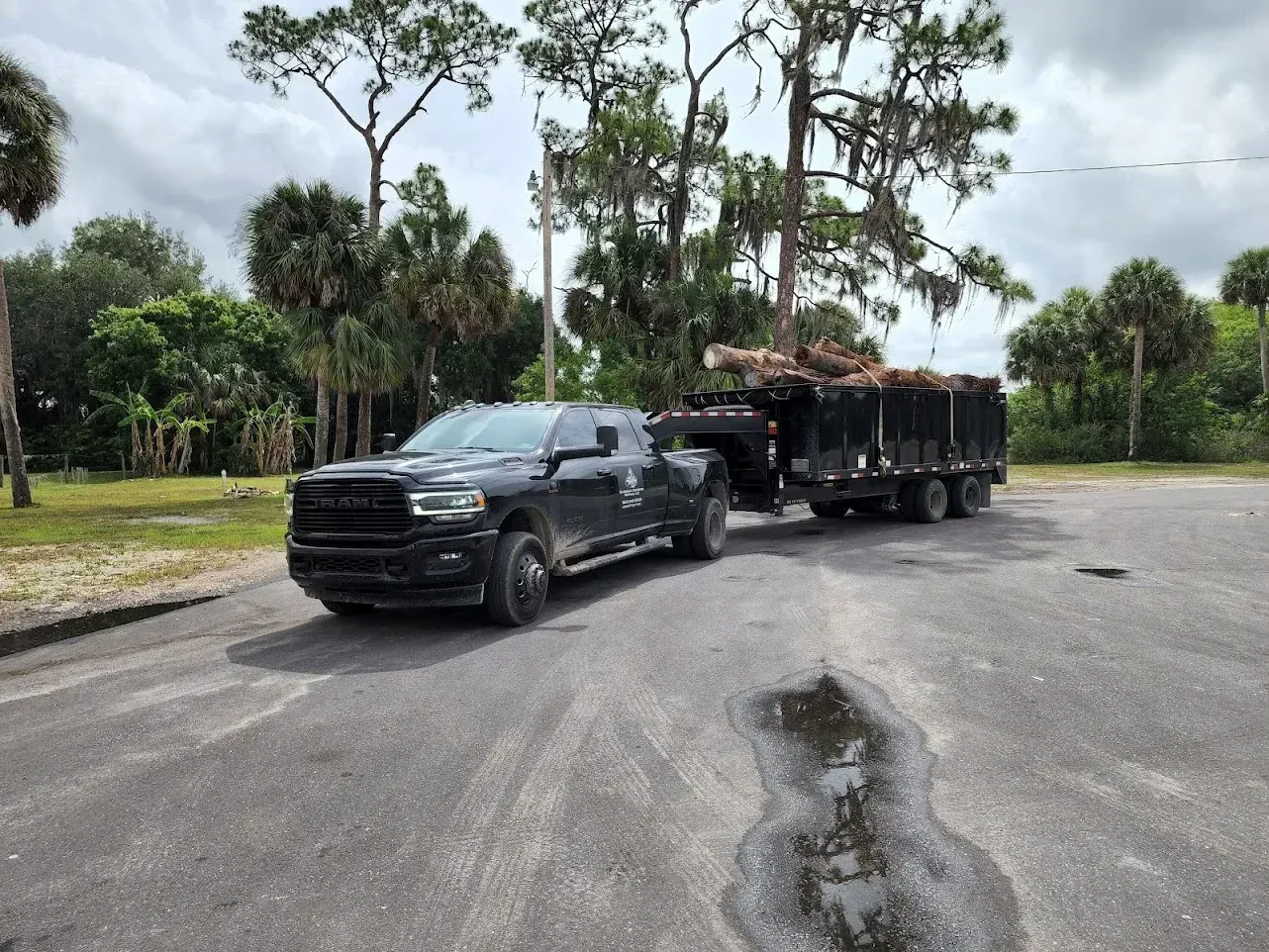 A black truck is pulling a trailer full of logs.