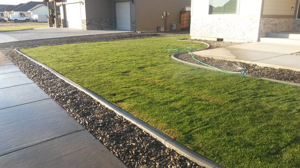 A lawn with a concrete curb and gravel in front of a house