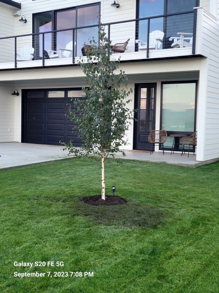 A white house with a black garage door and a tree in front of it.