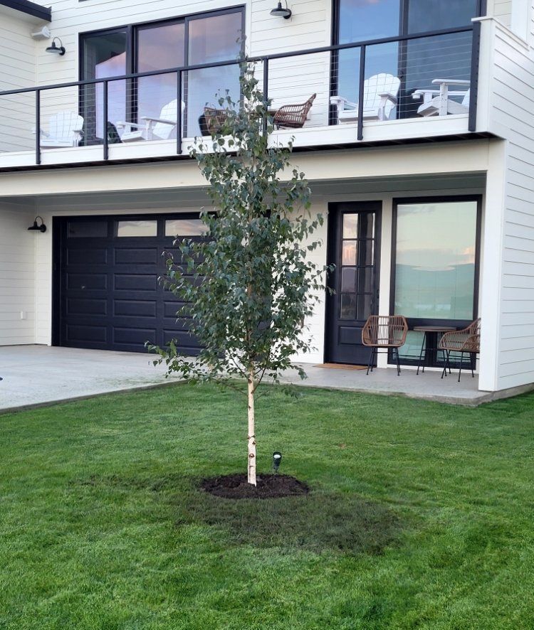 A white house with a black garage door and a tree in front of it