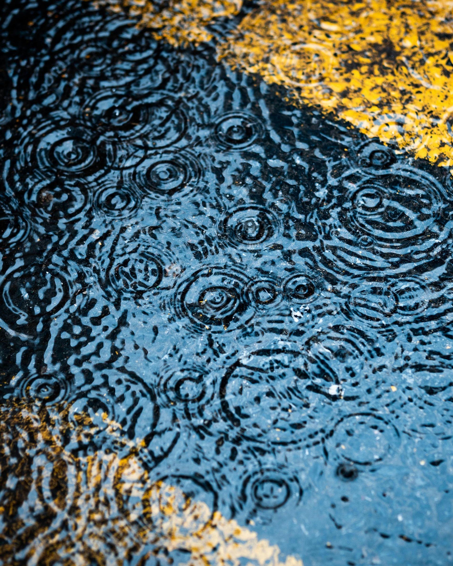 Rain ripples on blue pavement beside yellow painted markings and a rough curb.