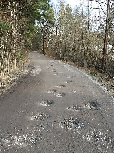 A narrow asphalt path through a forest, featuring several scattered, rough circular patches of repair or damage.