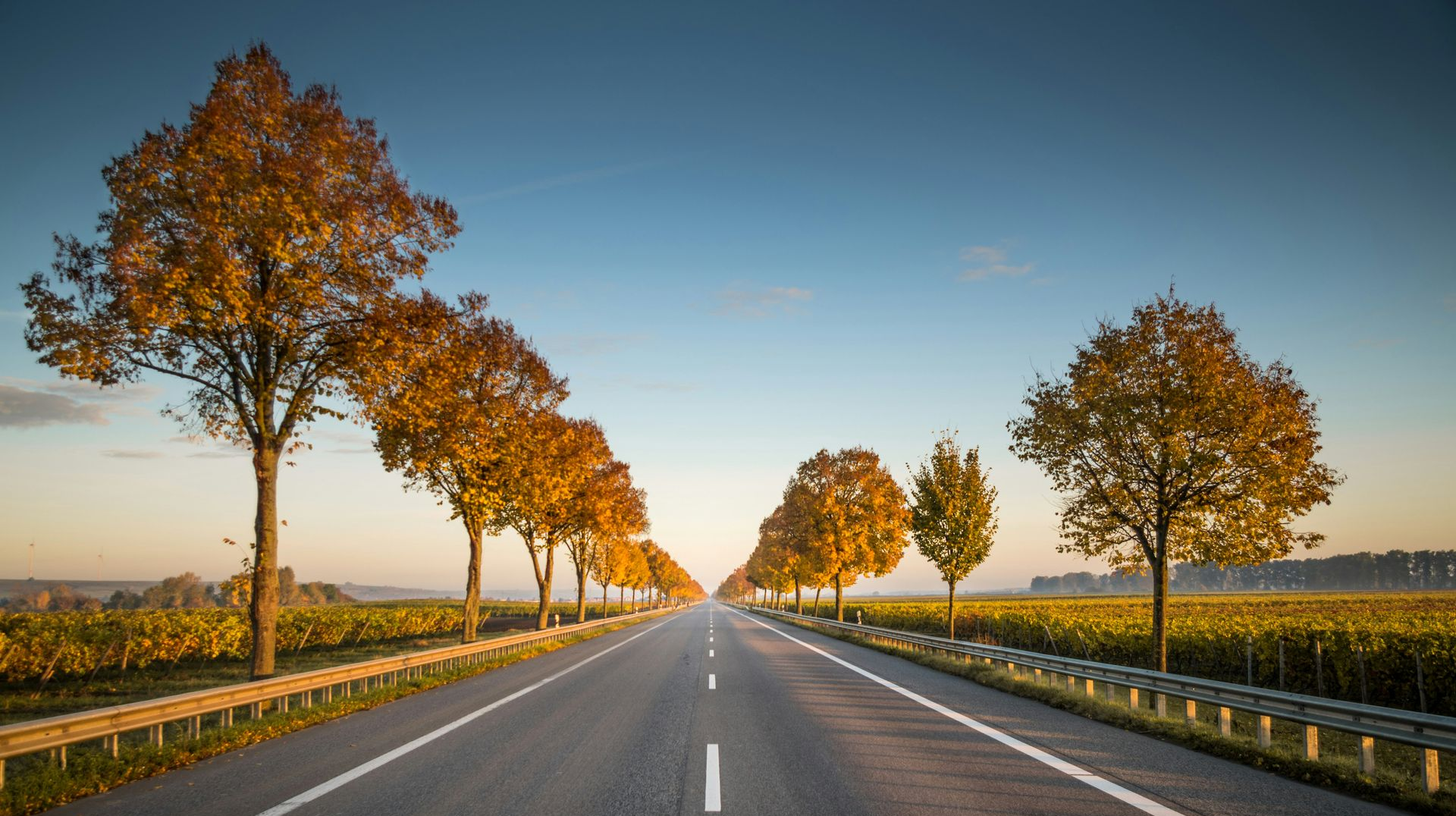Road lined with autumn trees, leading into the distance, under a blue sky.