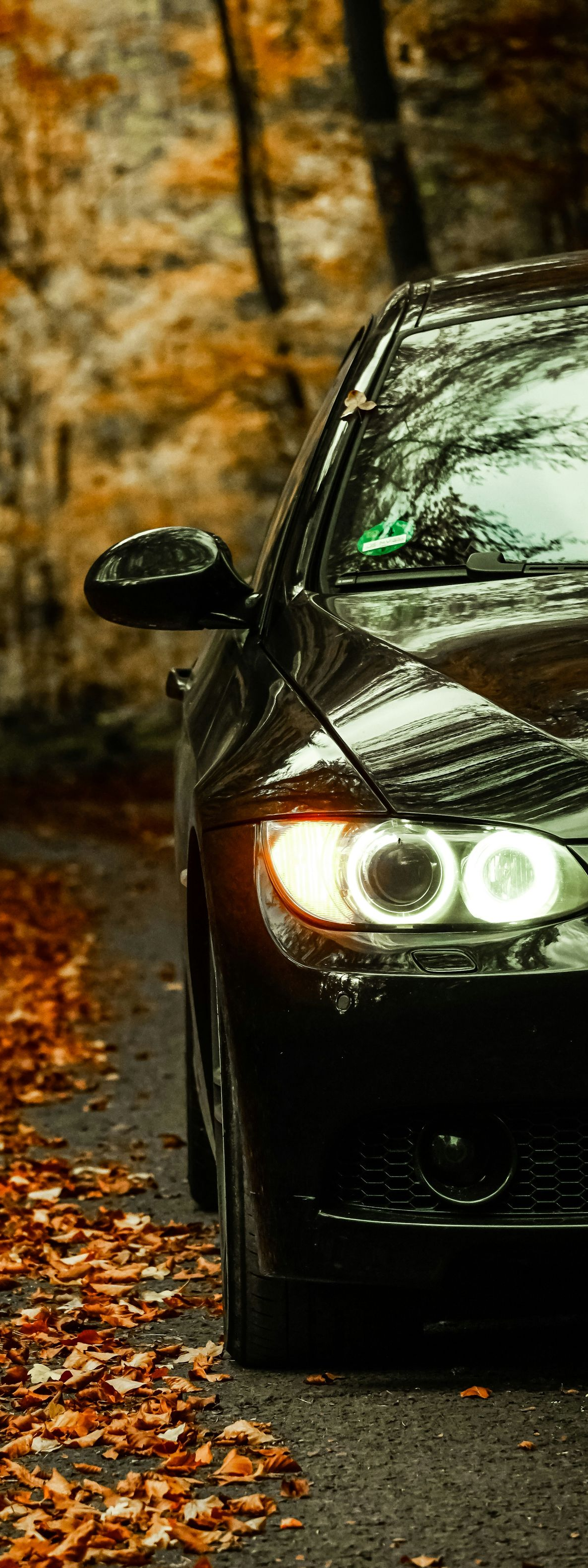Black car parked on a road lined with fall foliage. The car's headlights are on, and the environment is autumnal.