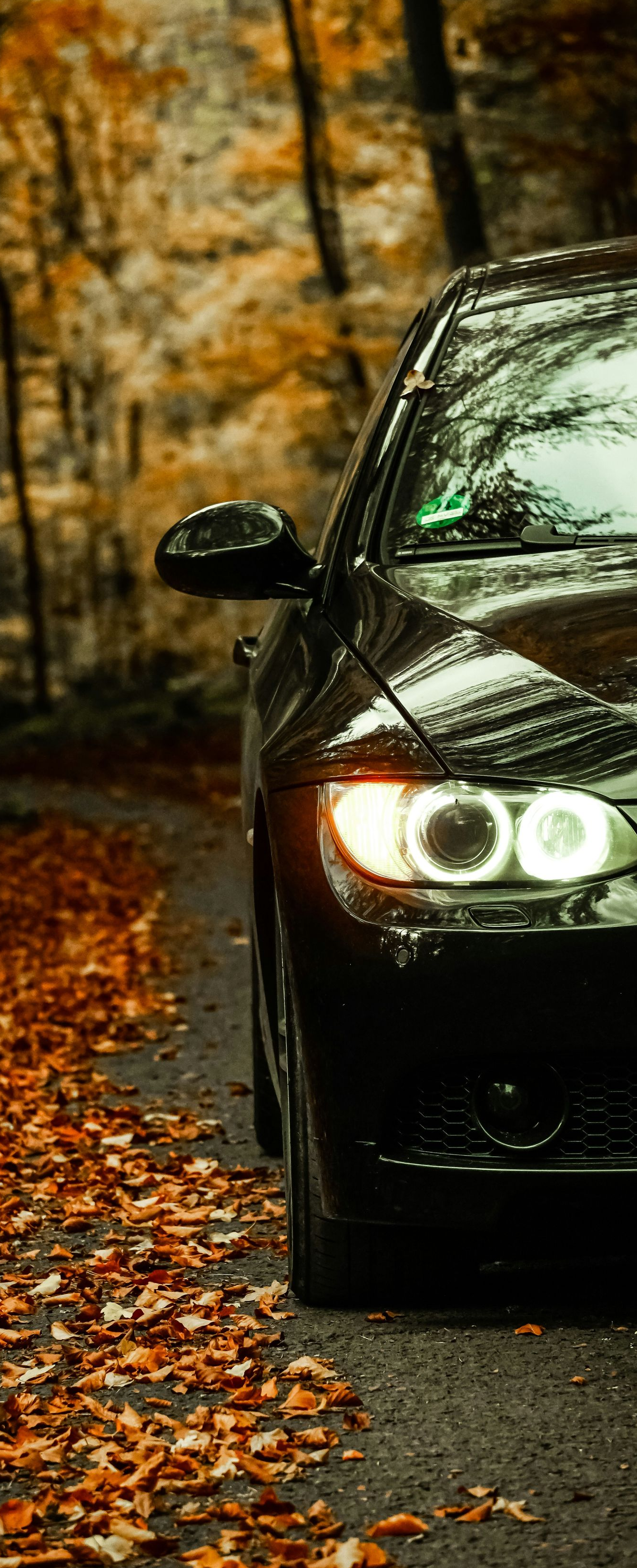 Black car parked on a road lined with fall foliage. The car's headlights are on, and the environment is autumnal.
