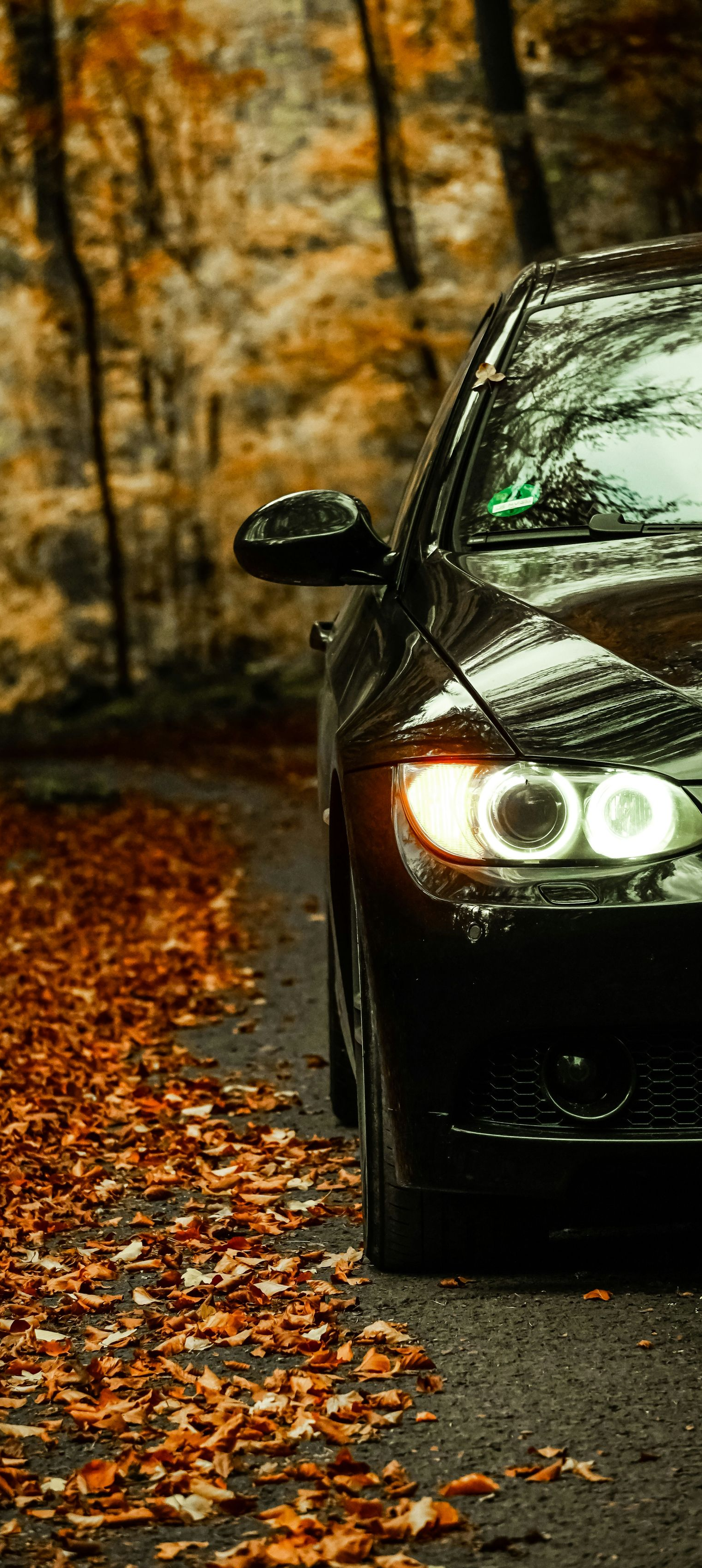 Black car parked on a road with autumn leaves, trees in the background.