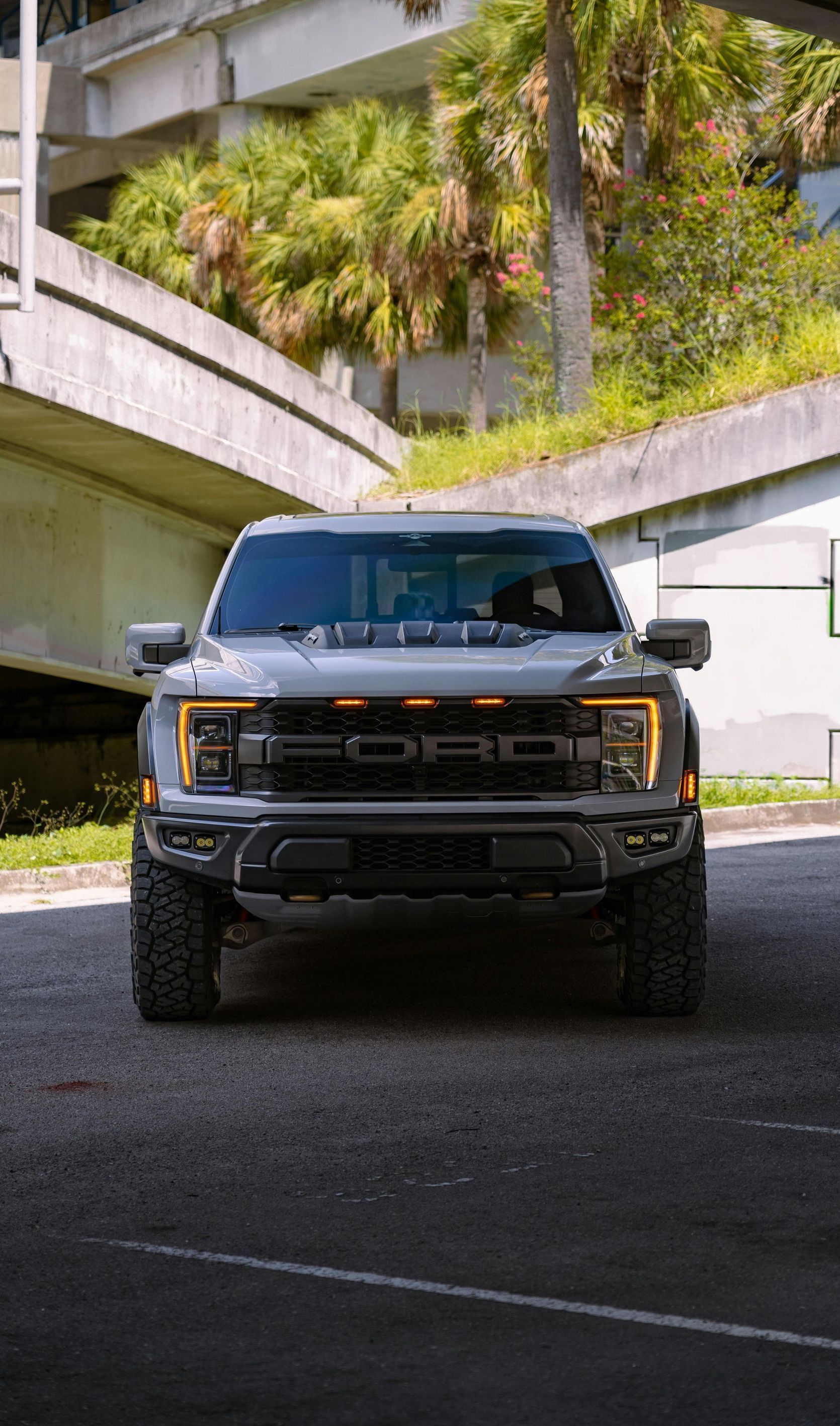 Ford Raptor truck, gray, centered, parked under a bridge, daytime.