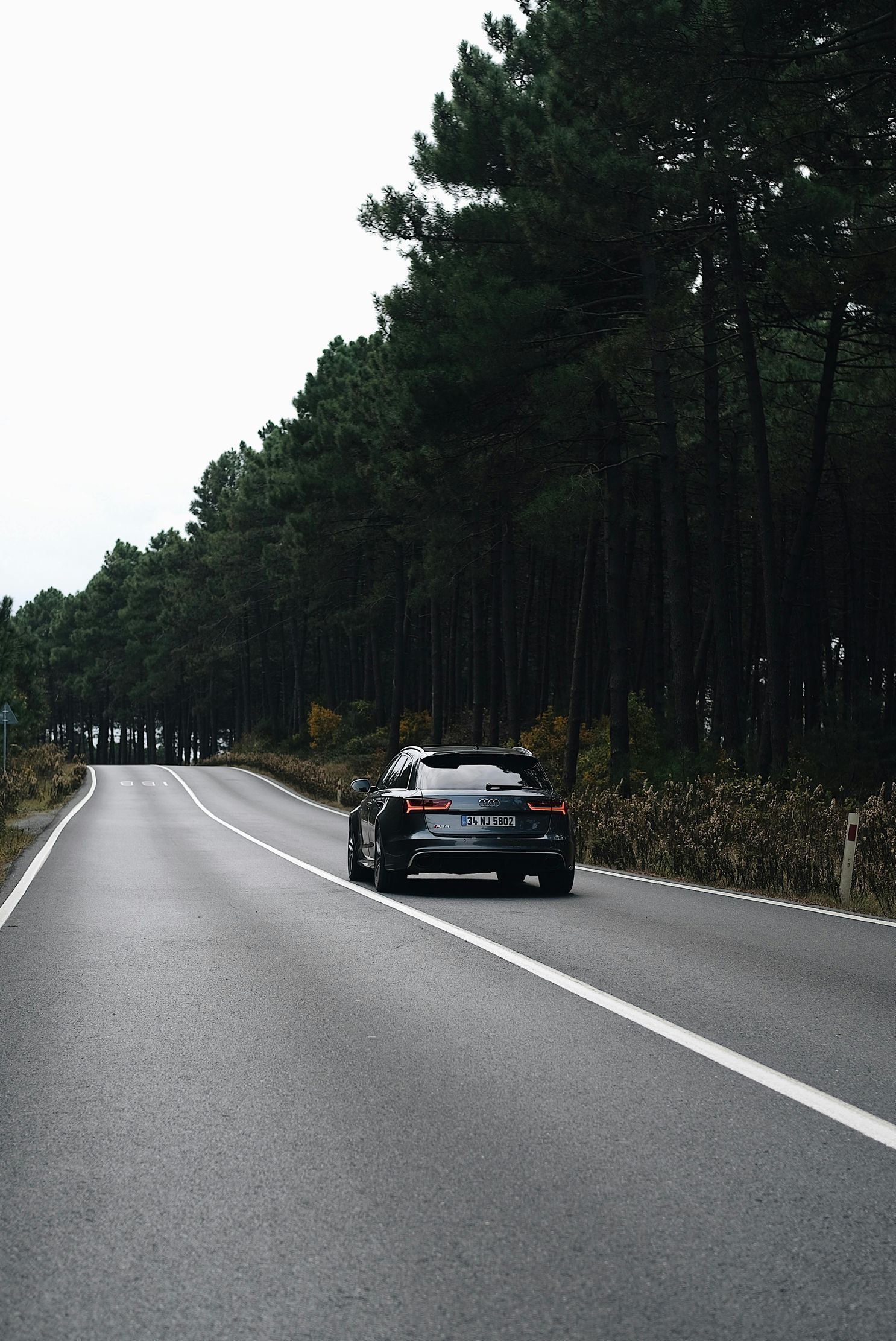 A dark-colored car drives down a road flanked by tall, green trees. Overcast sky.