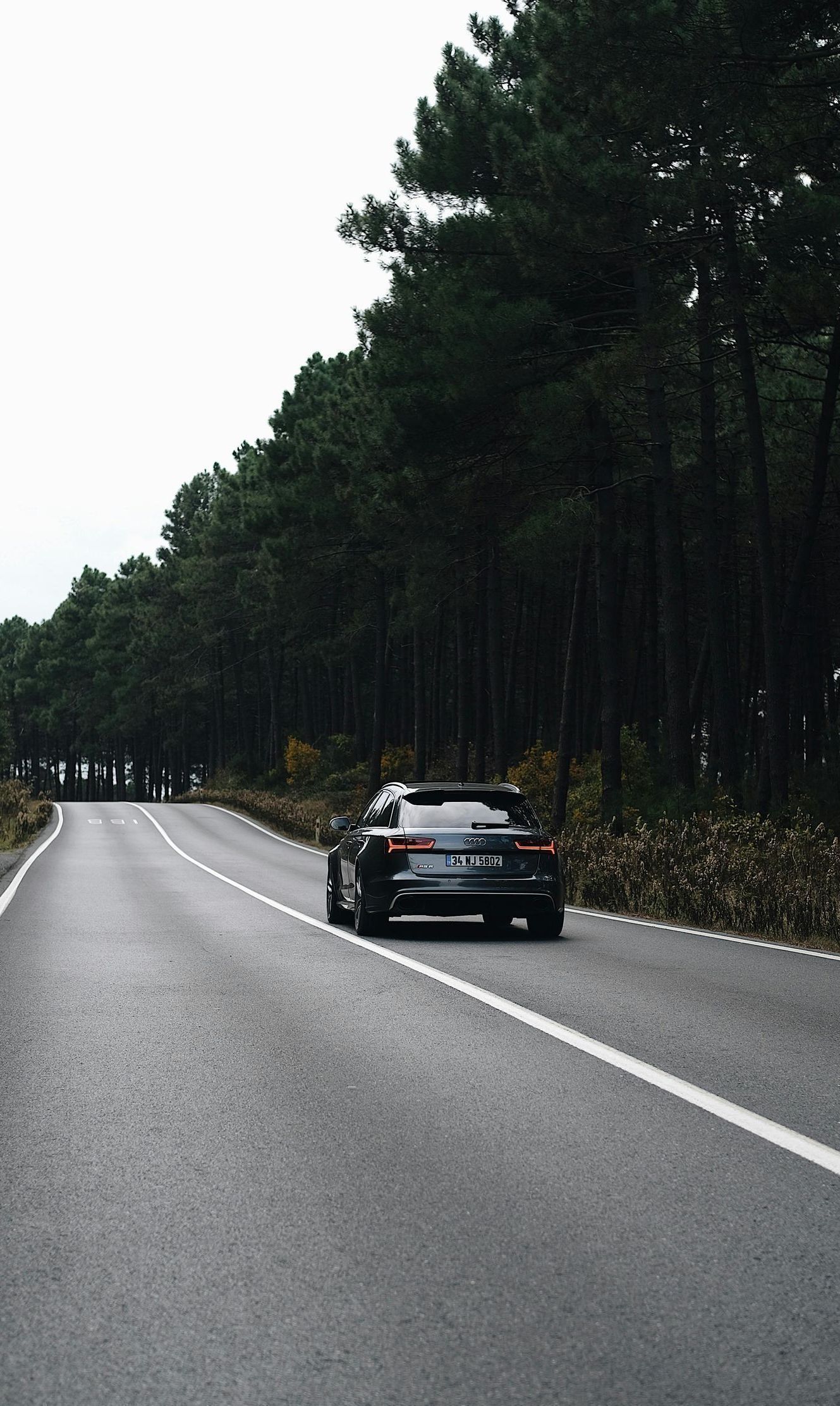 A dark-colored car drives down a road flanked by tall, green trees. Overcast sky.