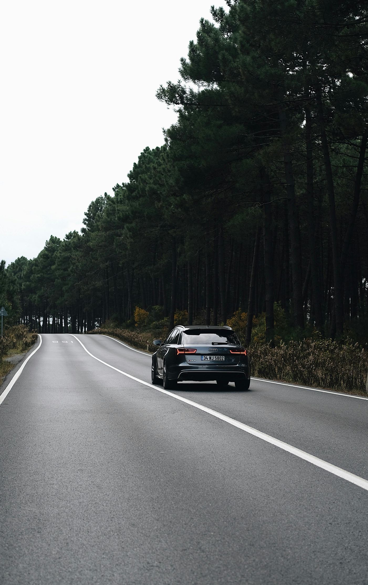 A dark-colored car drives down a road flanked by tall, green trees. Overcast sky.