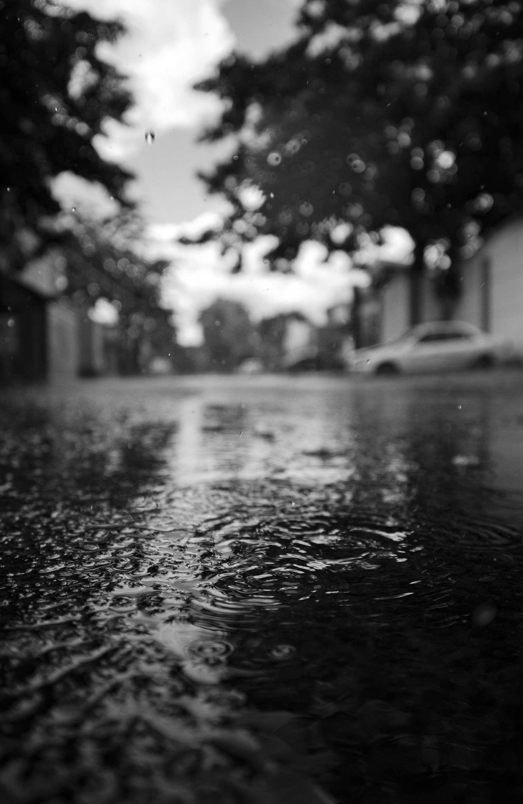 A black and white close-up of raindrops falling on a wet street, with blurred trees and a car in the distance.