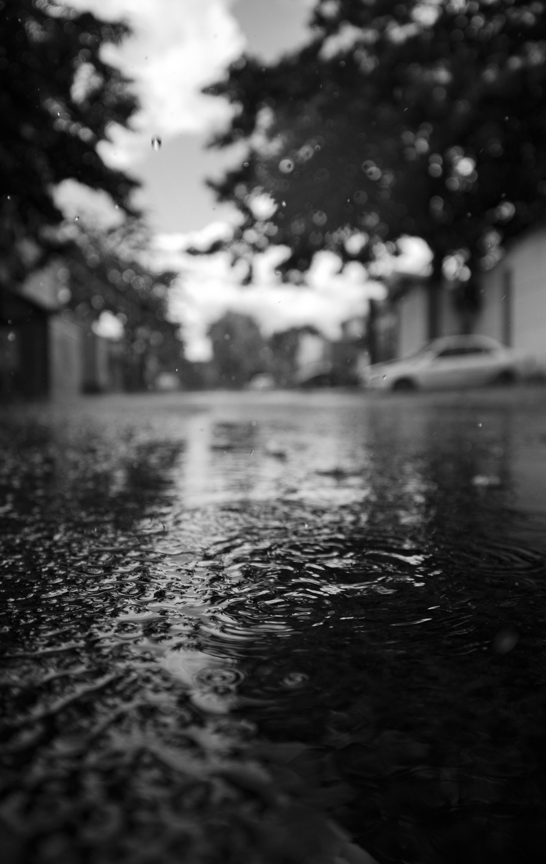 A black and white close-up of raindrops falling on a wet street, with blurred trees and a car in the distance.