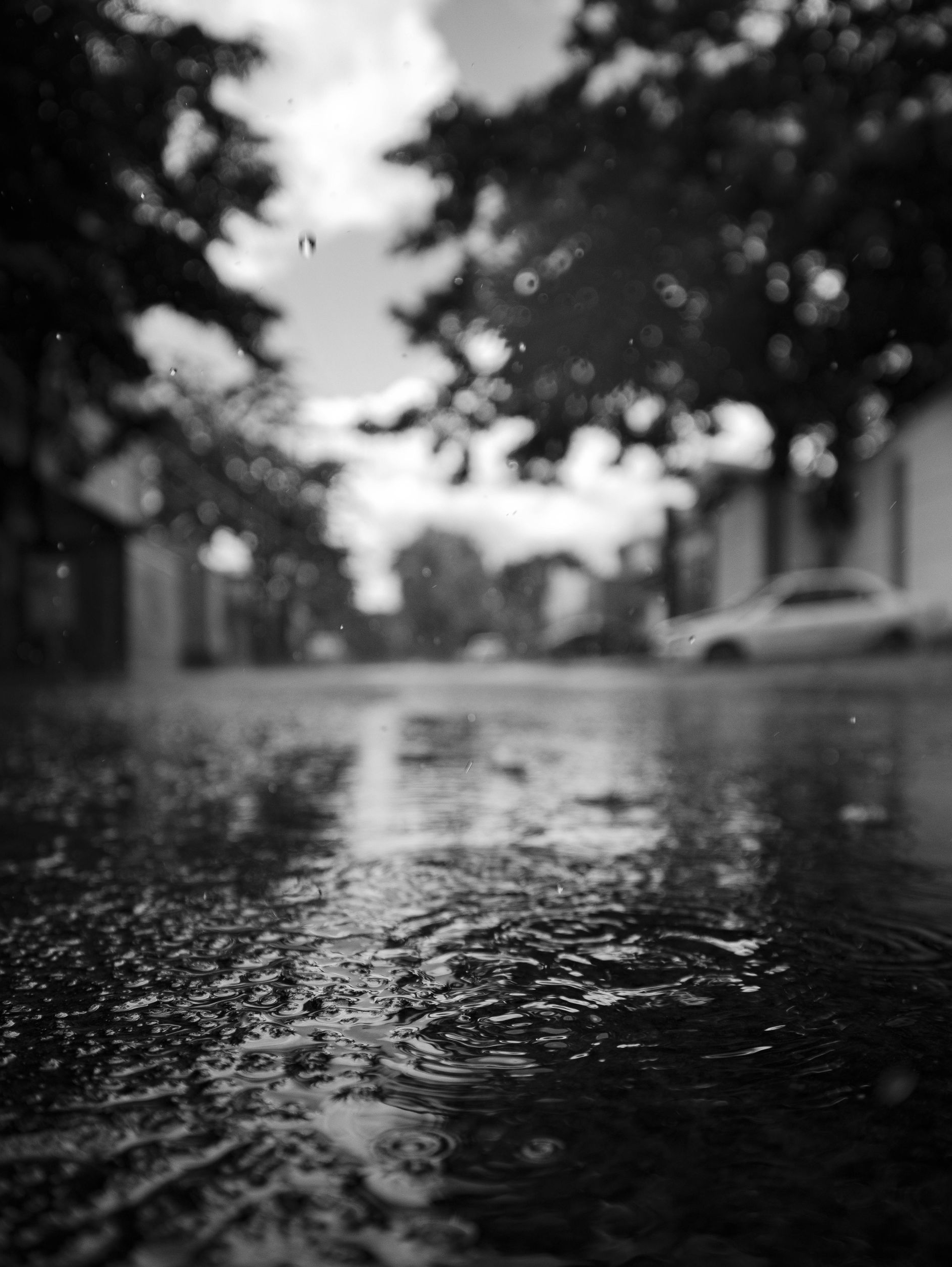 A black and white close-up of raindrops falling on a wet street, with blurred trees and a car in the distance.