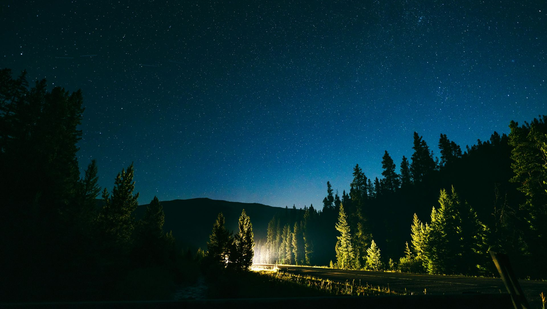 Night sky over trees, car headlights illuminate road, stars visible.