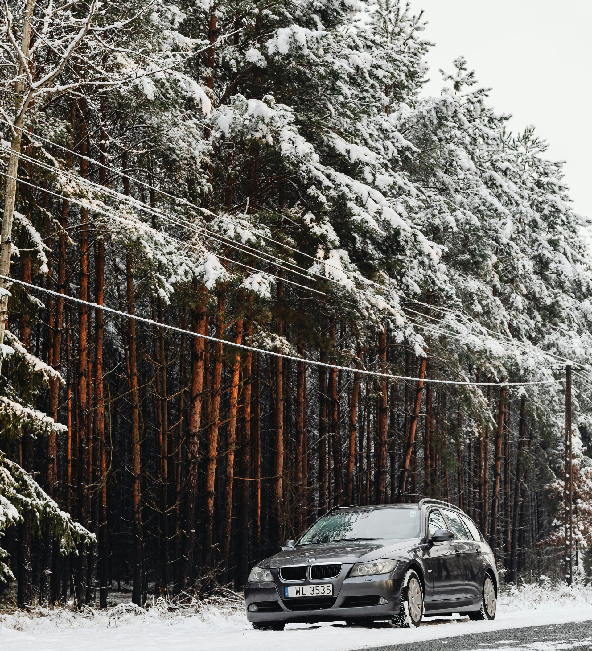Gray car on a snow-covered road in front of a forest of pine trees.