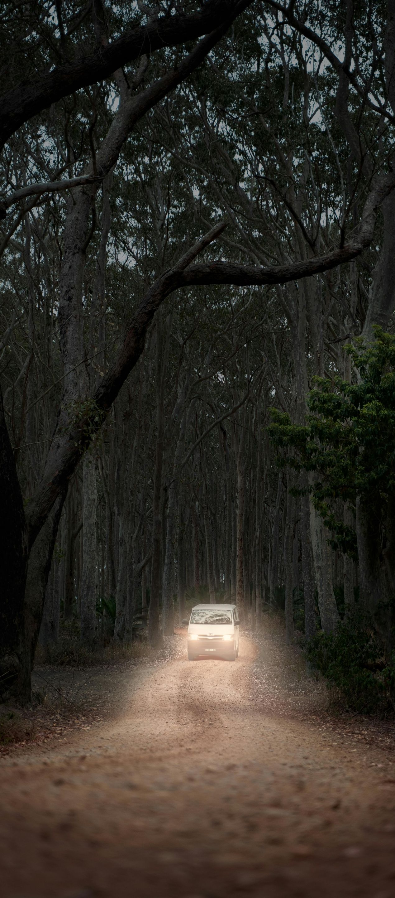 Car driving on a dirt road through a dark forest, with headlights illuminating the path.